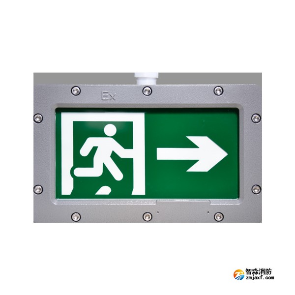 天津海灣HW-BLJC-1REI0.5W-VN852-R單面右向應急疏散指示燈