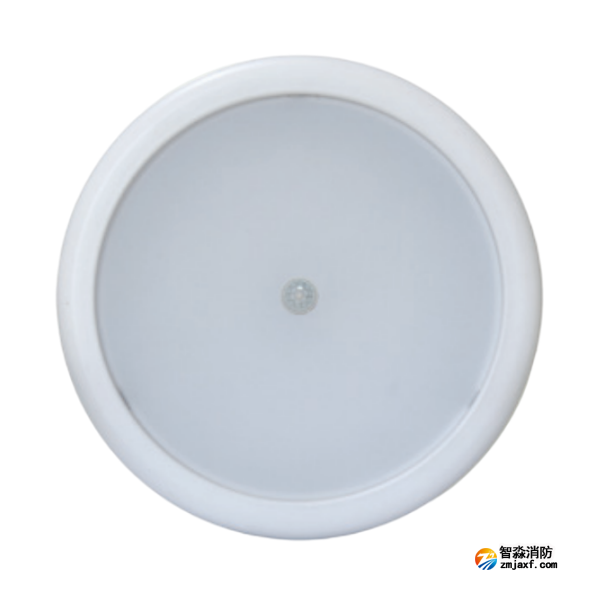 天津海灣HW-ZFJC-E6W-N656HW集中電源集中控制型消防應(yīng)急照明燈具